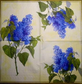 016 Hydrangeas - 3-ply (yellow) - Ihr